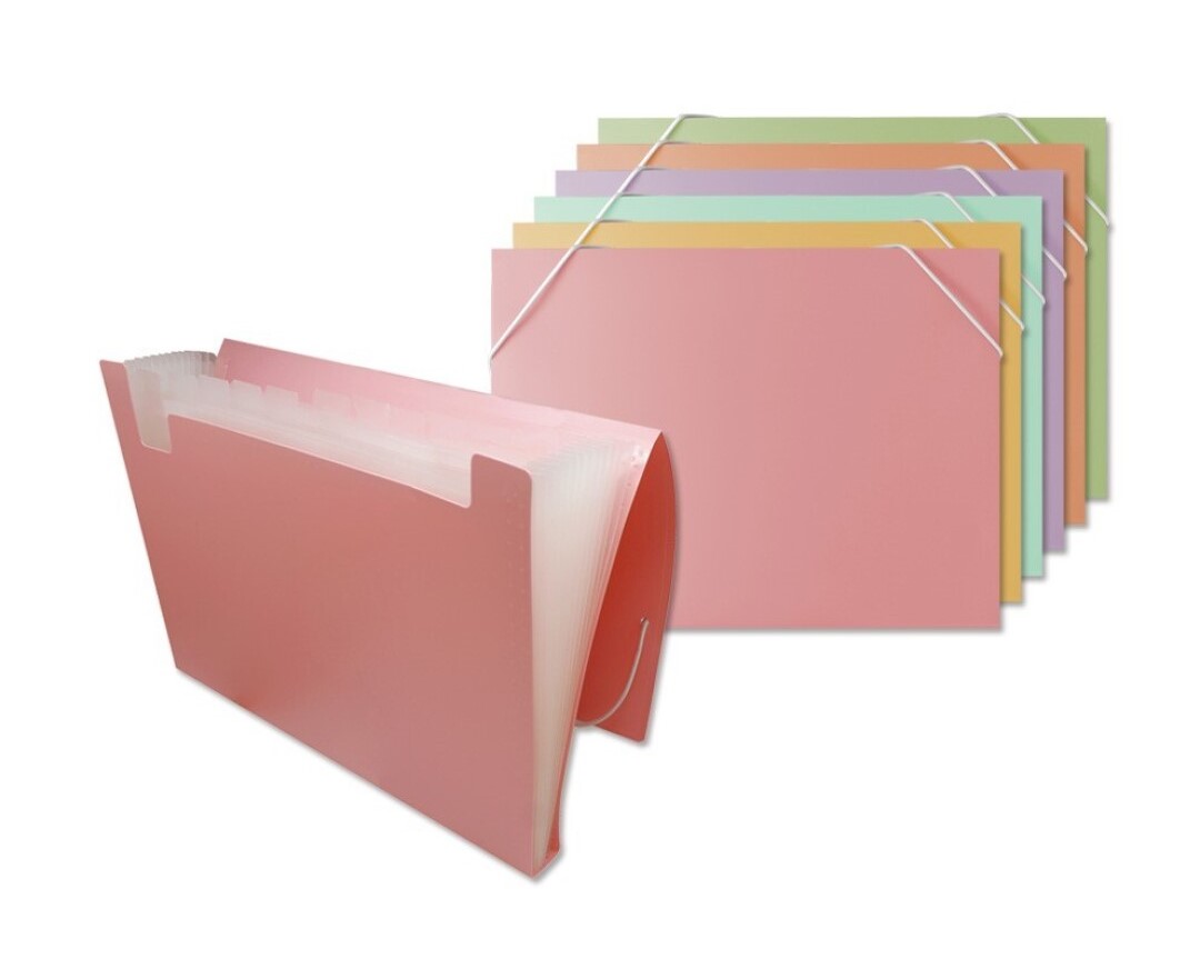 CARPETA FUELLE COLORES PASTEL CON 12 COMPARTIMENTOS TAMAÑO FOLIO CIERRE CONGOMAS
