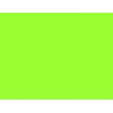 Cartulinas Grandes Fluorescentes Verde SOPL0008042