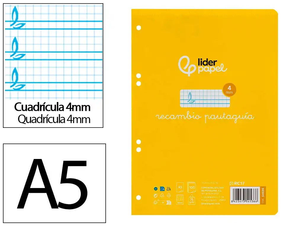 RECAMBIO ANILLAS A5 CUARTO ***PAUTAGUIA 4MM*** 100 HOJAS PAEL 75GR
